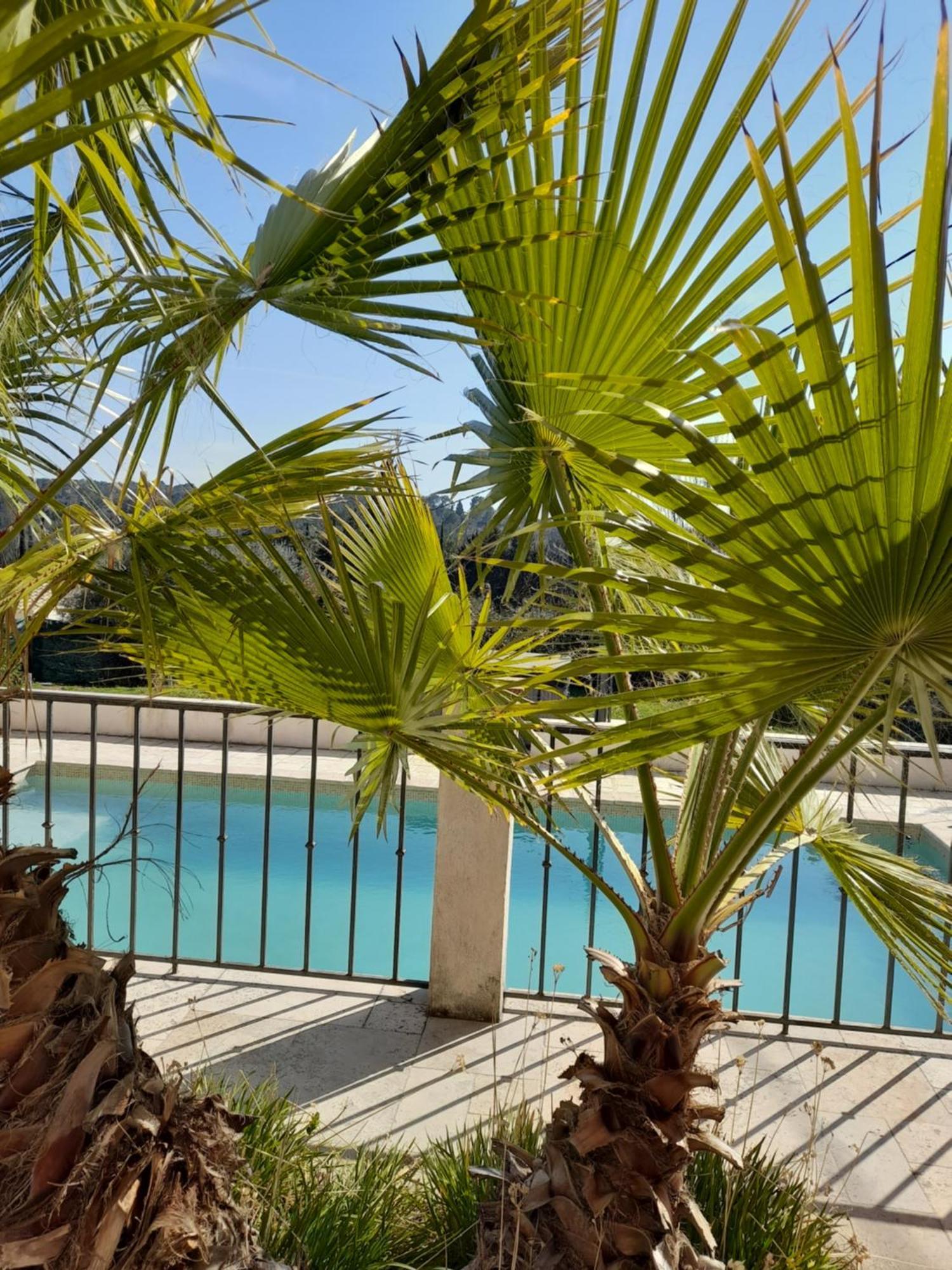 Villa Azur Lorgues Zewnętrze zdjęcie